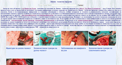 Desktop Screenshot of maxillofacial.bg
